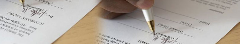 Global Translation